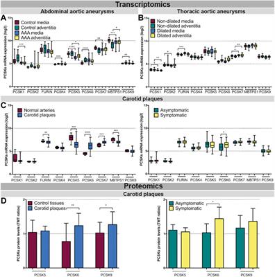 Therapeutic potential of the Proprotein Convertase Subtilisin/Kexin family in vascular disease